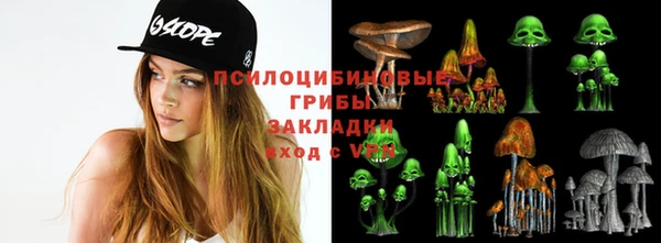 бошки Магас