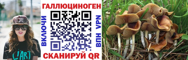 Псилоцибиновые грибы Psilocybine cubensis  даркнет сайт  Алзамай 